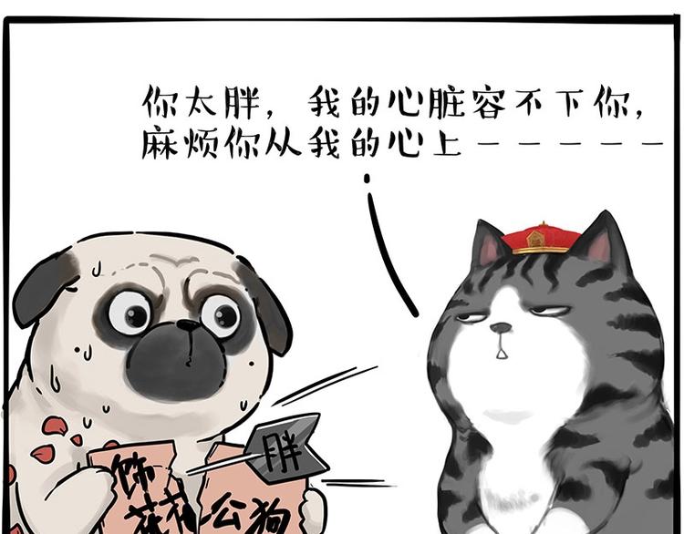 第197话 猫怼狗12