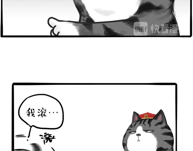 第197话 猫怼狗14