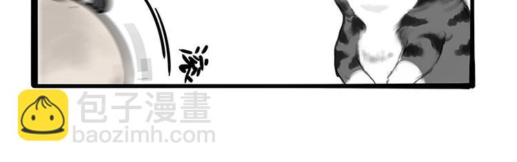 第197话 猫怼狗15