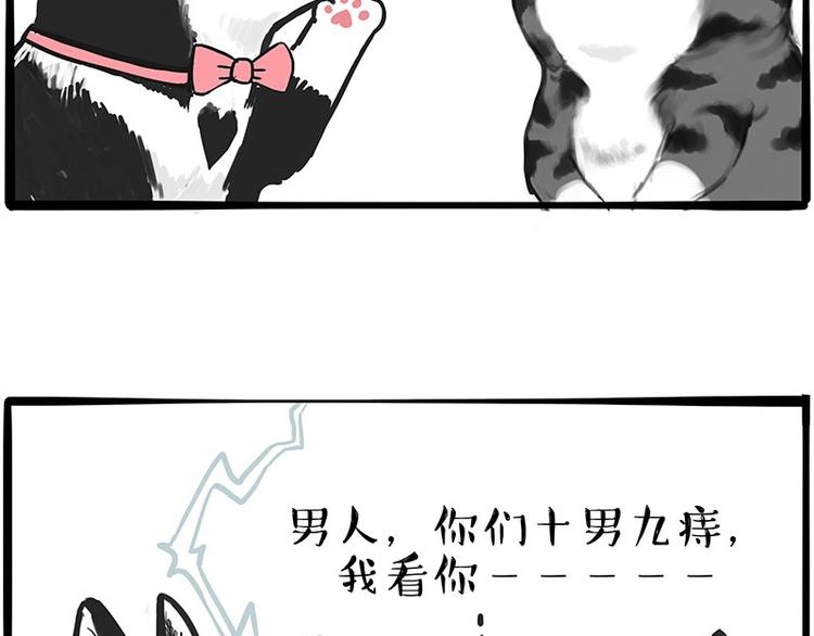第197话 猫怼狗17