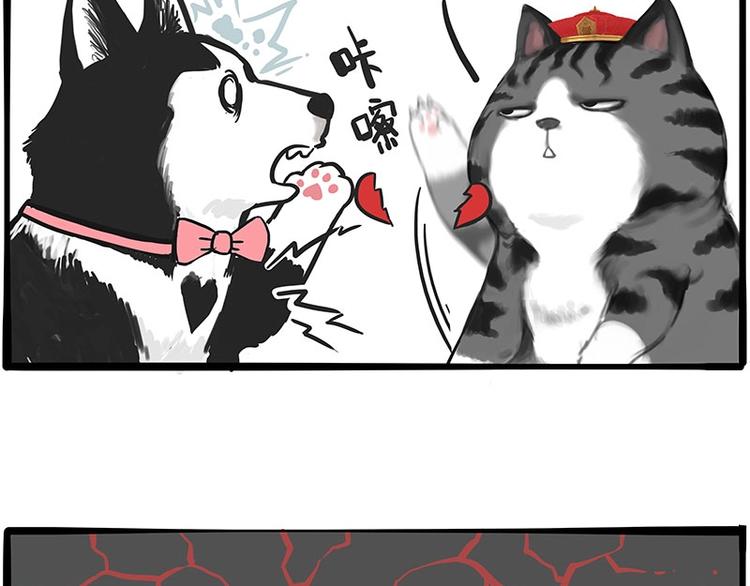 第197话 猫怼狗18