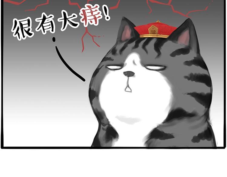 第197话 猫怼狗19