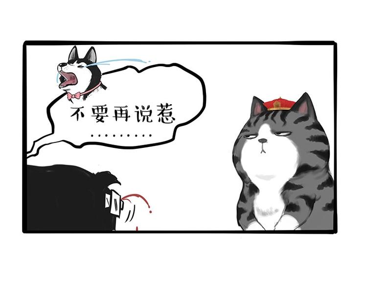 第197话 猫怼狗20