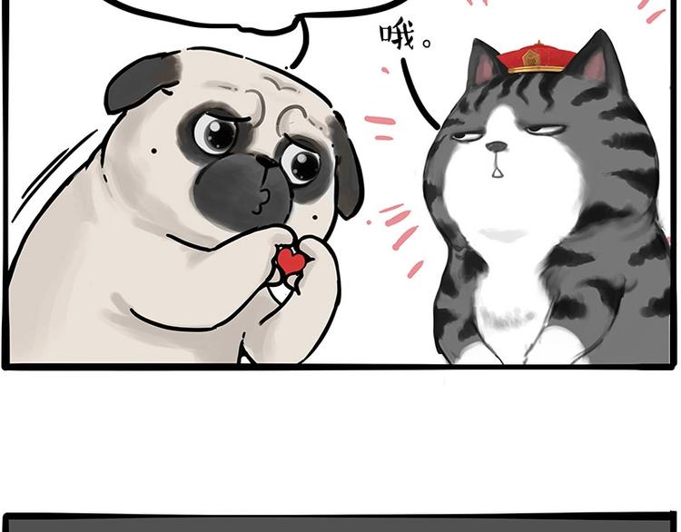 第197话 猫怼狗23