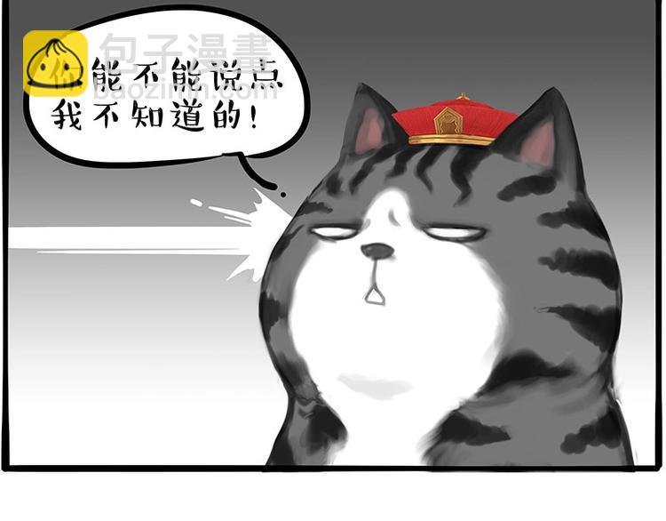 第197话 猫怼狗24