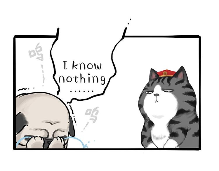 第197话 猫怼狗25