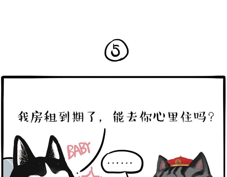 第197话 猫怼狗26