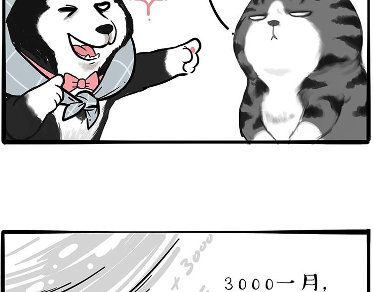 第197话 猫怼狗27