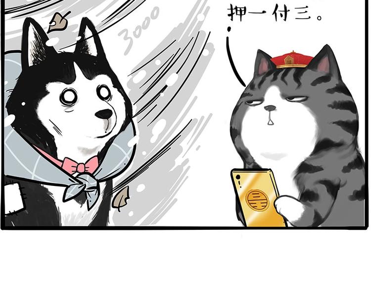 第197话 猫怼狗28