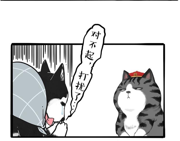 第197话 猫怼狗30