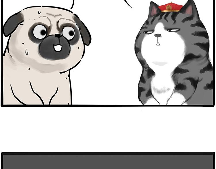 第197话 猫怼狗34