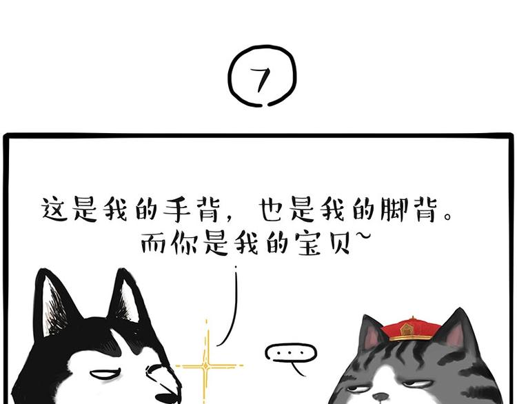 第197话 猫怼狗37