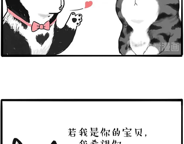 第197话 猫怼狗38