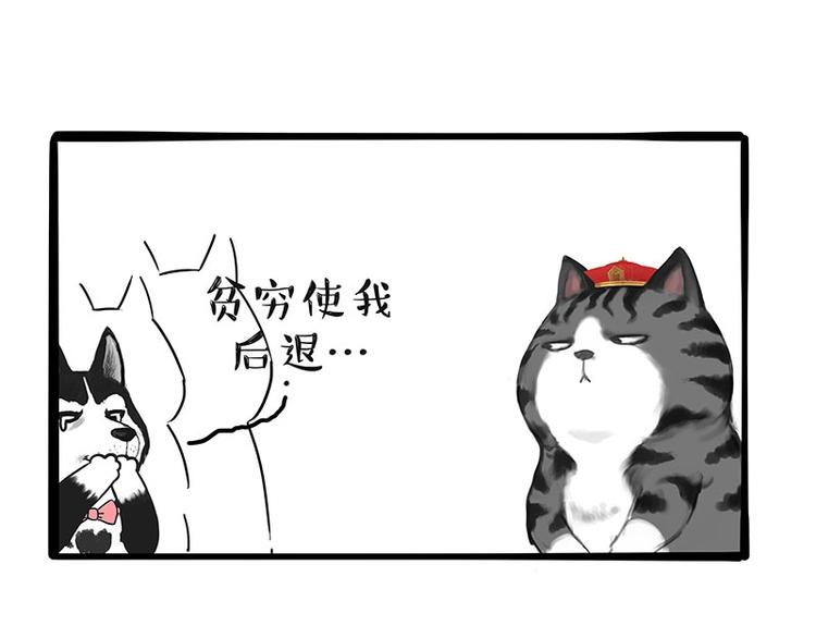 第197话 猫怼狗41