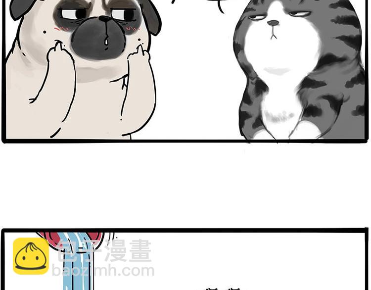 第197话 猫怼狗43