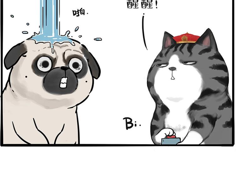 第197话 猫怼狗44