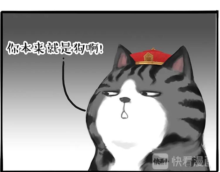 第197话 猫怼狗45