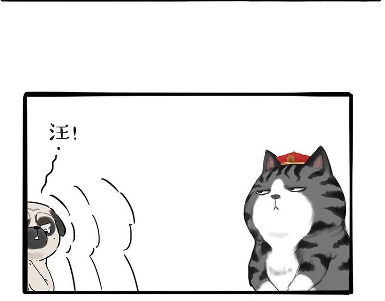 第197话 猫怼狗46