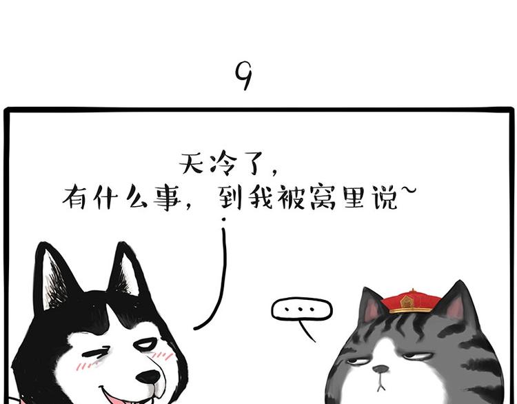 第197话 猫怼狗48