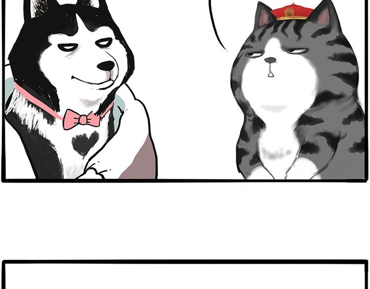 第197话 猫怼狗54