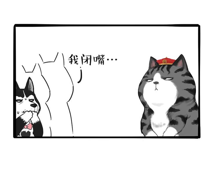 第197话 猫怼狗56