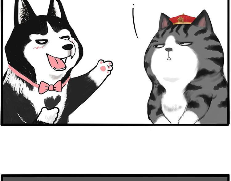 第197话 猫怼狗59