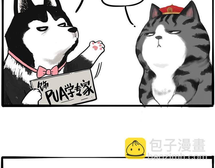 第197话 猫怼狗6