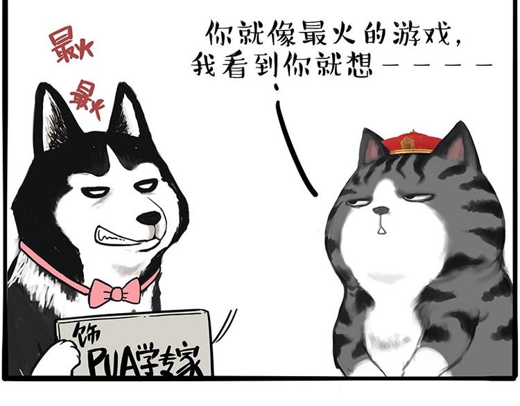 第197话 猫怼狗7