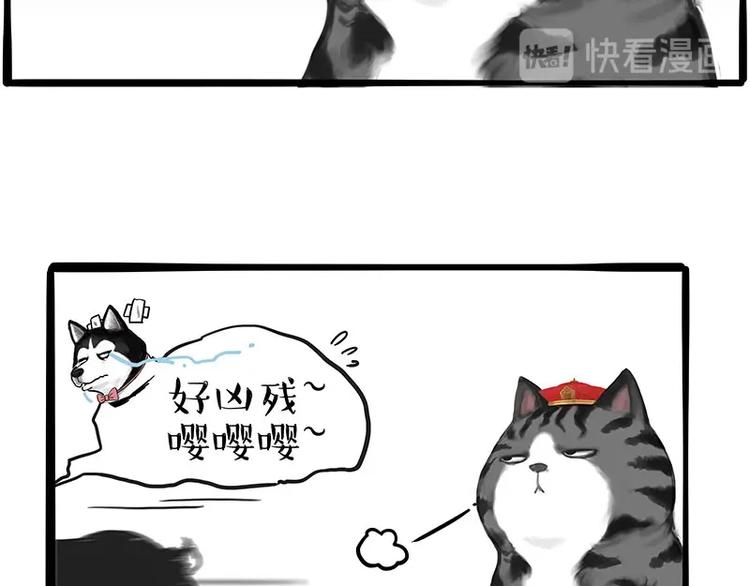 第197话 猫怼狗9