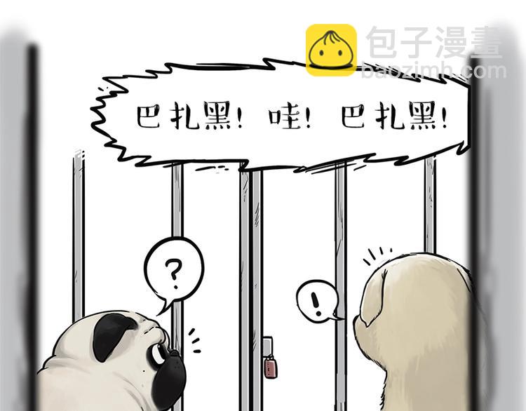 第198话 你爱世界，但我爱你17