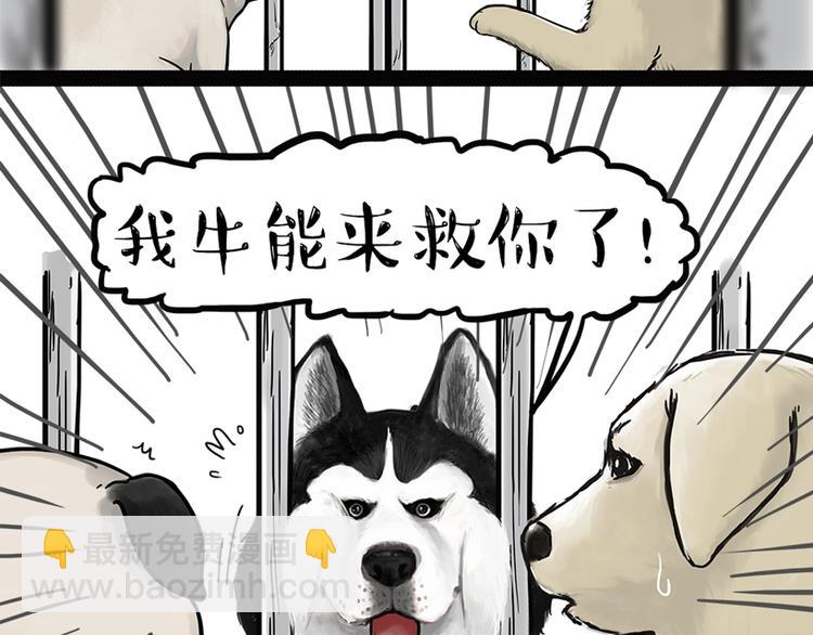 第198话 你爱世界，但我爱你18