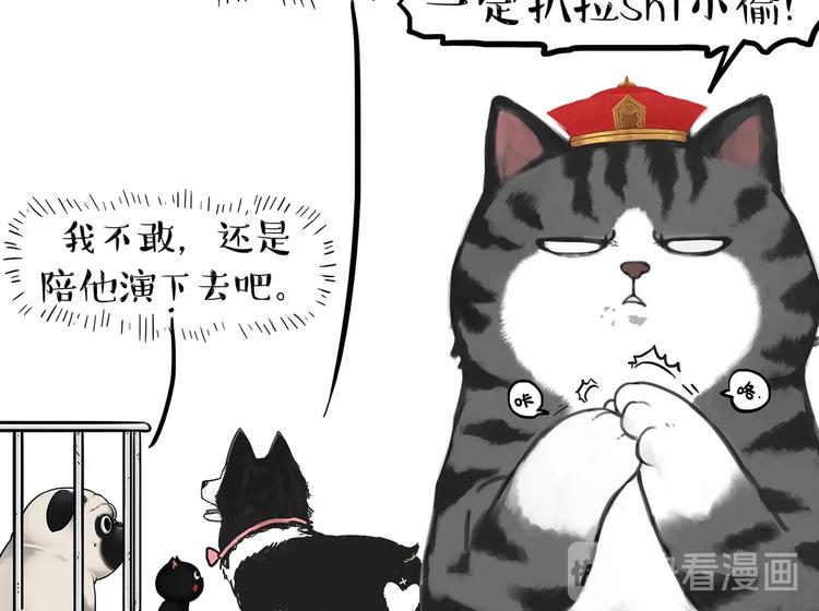 第202话 谁动了吾皇的猫粮12