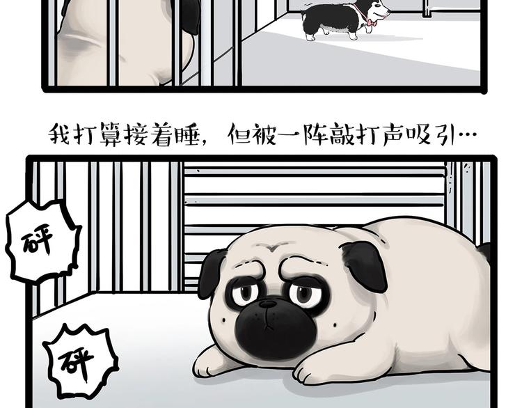 第202话 谁动了吾皇的猫粮17