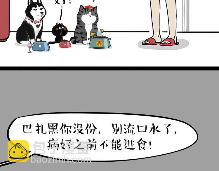 第202话 谁动了吾皇的猫粮2
