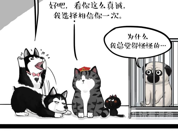 第202话 谁动了吾皇的猫粮37