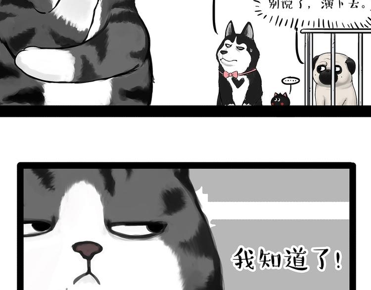 第202话 谁动了吾皇的猫粮39