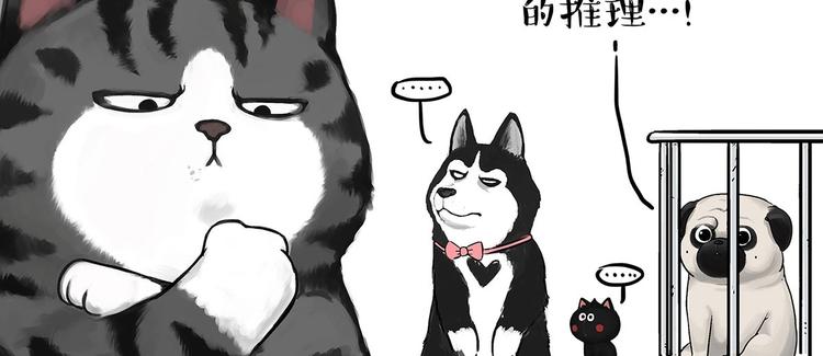 第202话 谁动了吾皇的猫粮42