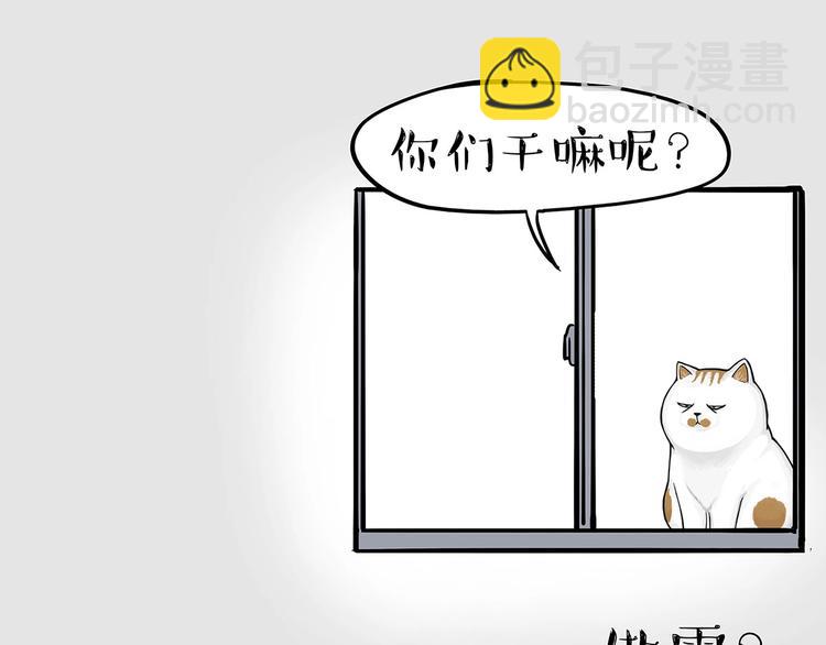 第202话 谁动了吾皇的猫粮43
