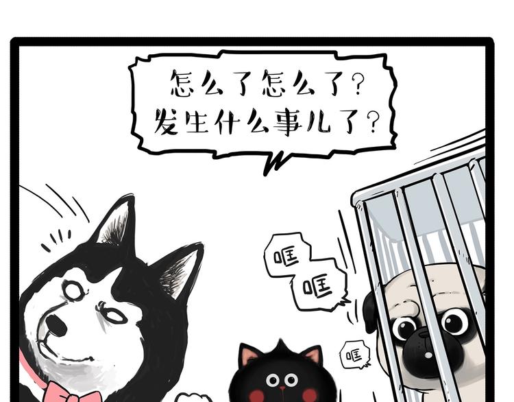 第202话 谁动了吾皇的猫粮7