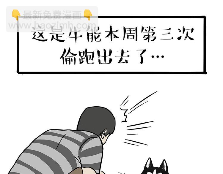 第203话 宅家不如挨顿打！34