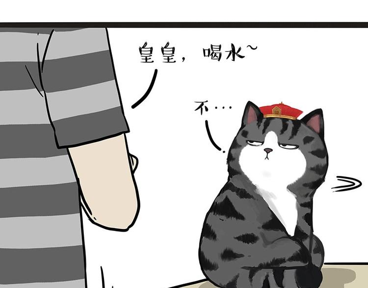 第204话 如何让吾皇多喝水9