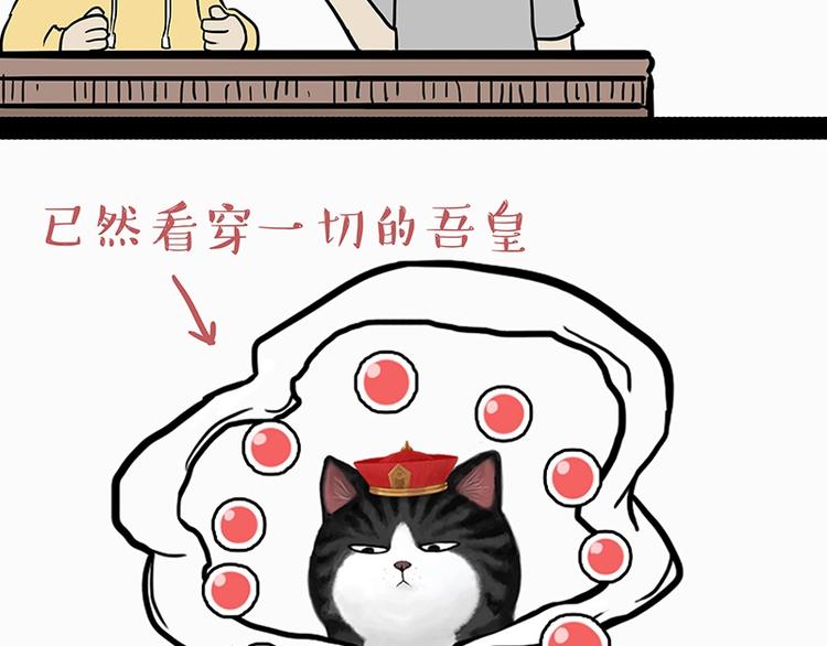 第205话 一切都是猫的安排37