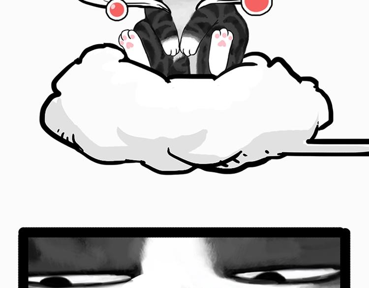 第205话 一切都是猫的安排38
