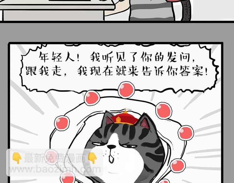 第205话 一切都是猫的安排5
