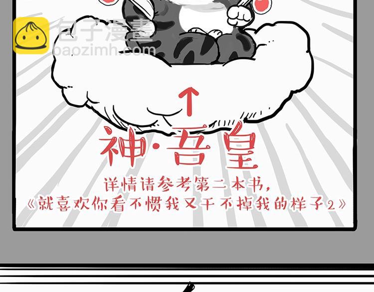 第205话 一切都是猫的安排6