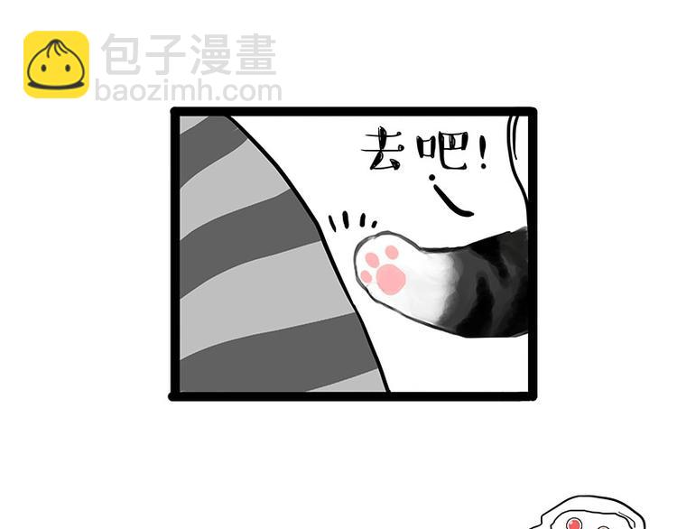 第205话 一切都是猫的安排9
