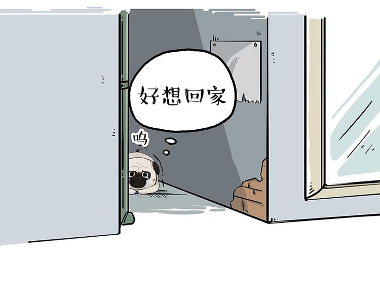 第207话 巴扎黑丢了？！10