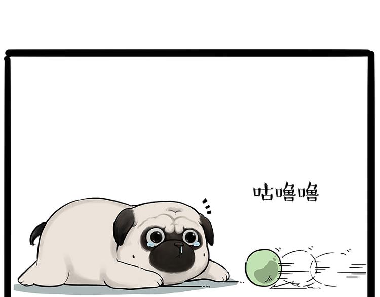 第207话 巴扎黑丢了？！11