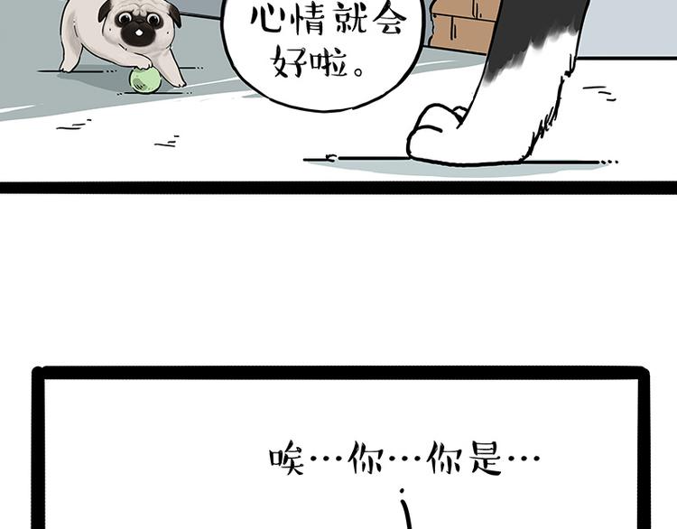 第207话 巴扎黑丢了？！13