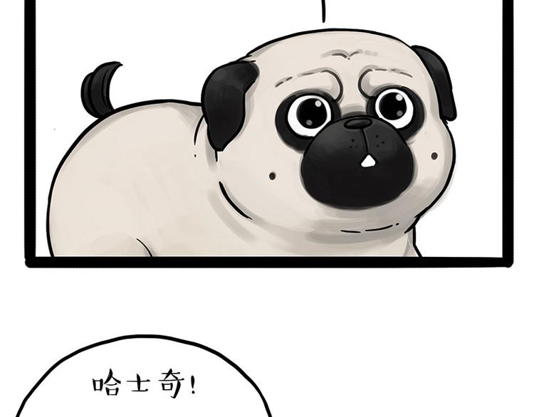 第207话 巴扎黑丢了？！14
